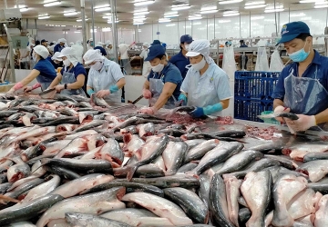 Ứng dụng cân điện tử thông minh trong chế biến thủy sản hiện đại